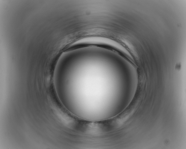 X0000091930261200709051507