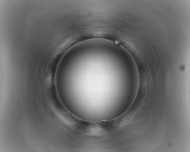 X0000091930262200709051507