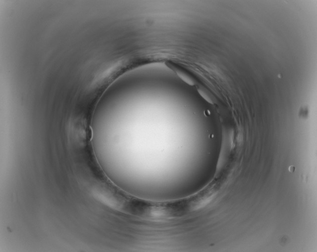 X0000091930264200709051507