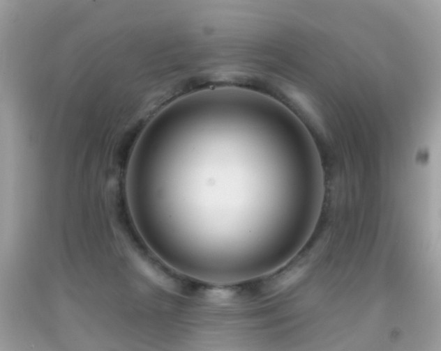 X0000091930265200709051507