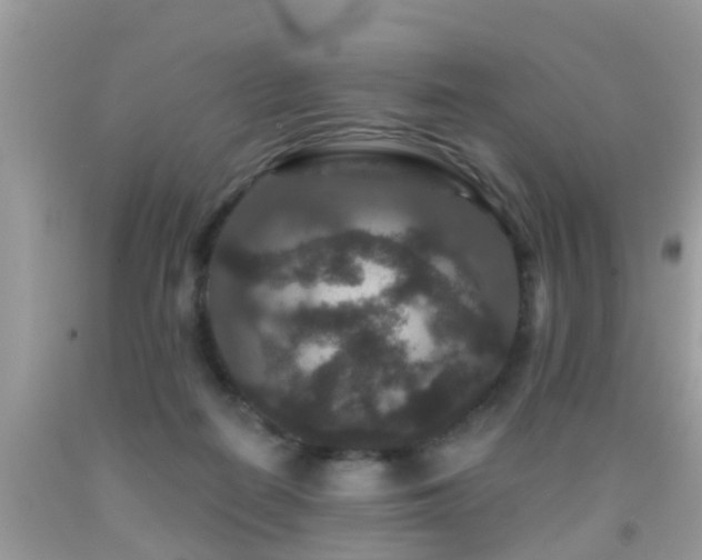 X0000091930266200709051507