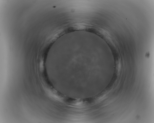 X0000091930267200709051507