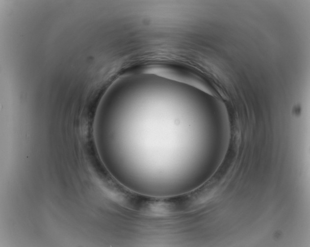 X0000091930268200709051507