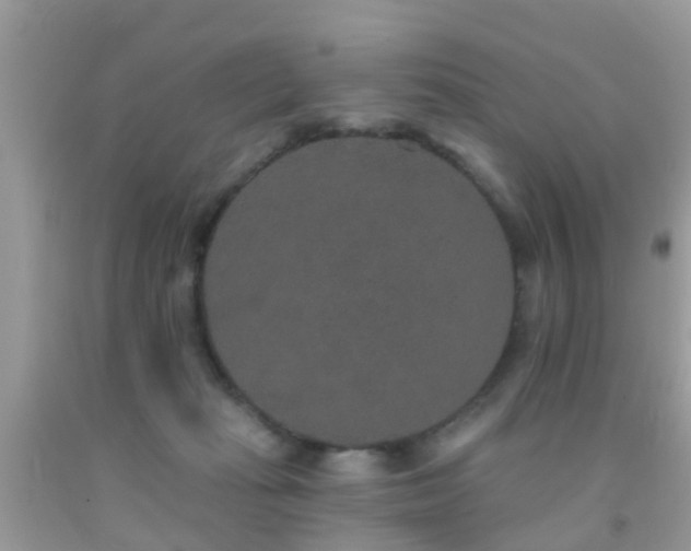 X0000091930269200709051507