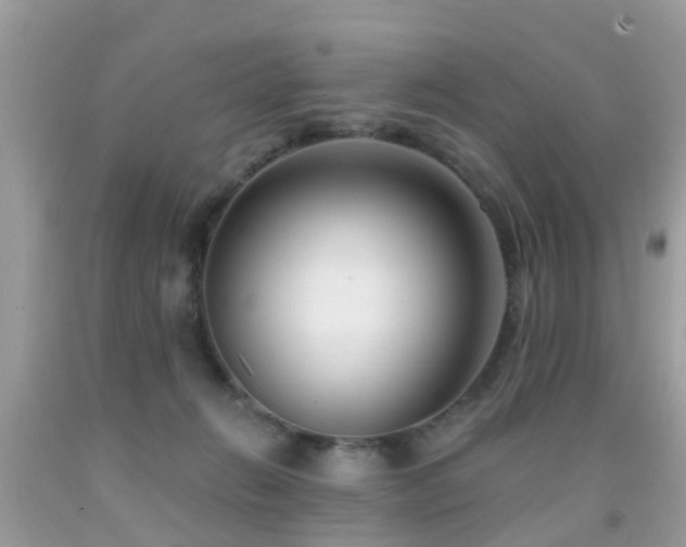X0000091930270200709051507