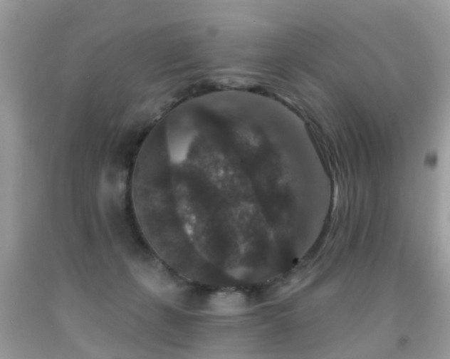 X0000091930271200709051507