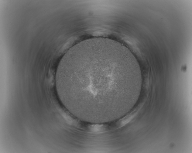 X0000091930273200709051507