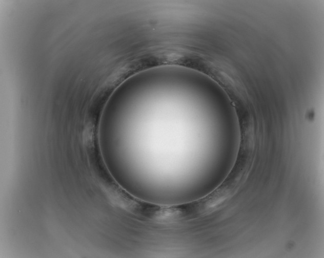 X0000091930274200709051508