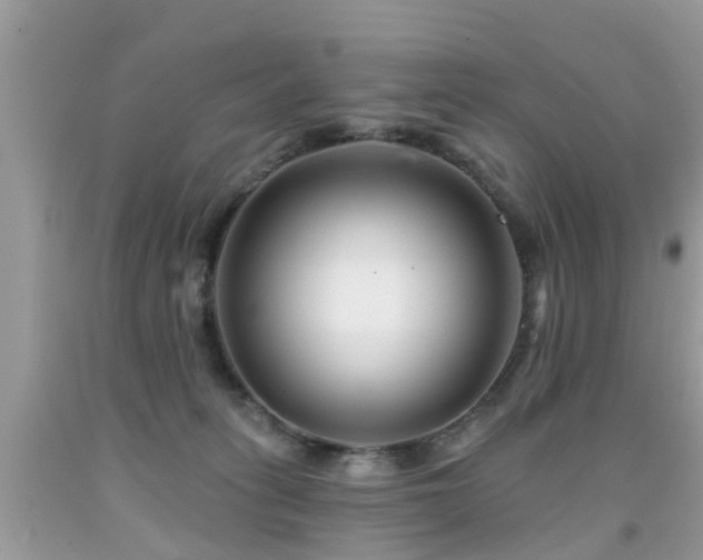 X0000091930275200709051508