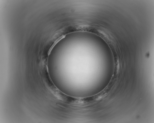 X0000091930276200709051508