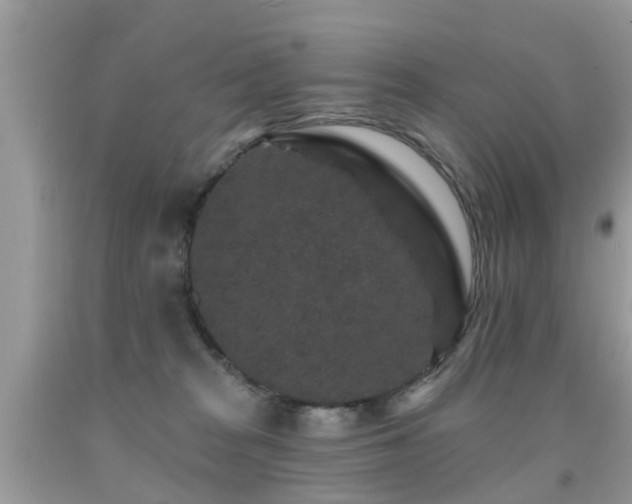 X0000091930277200709051508