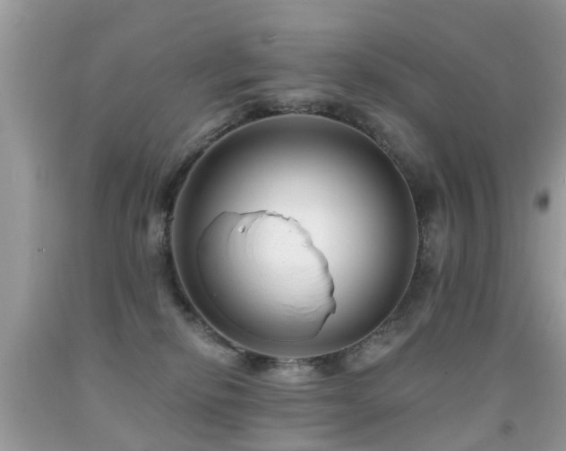 X0000091930278200709051508