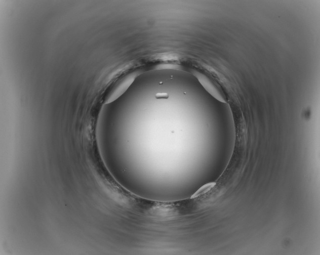 X0000091930280200709051508