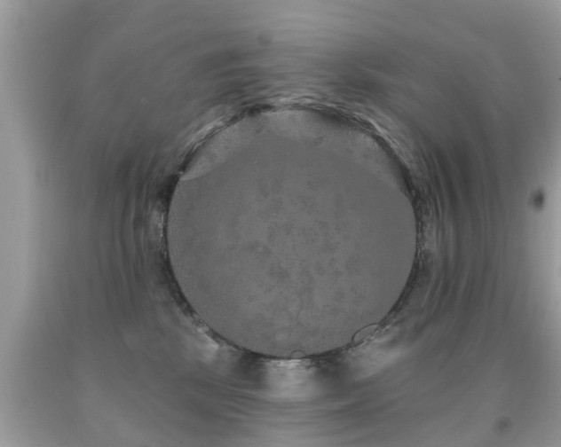 X0000091930281200709051508