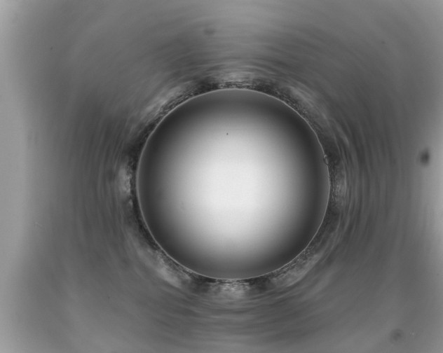 X0000091930282200709051508