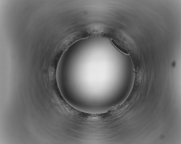 X0000091930283200709051508