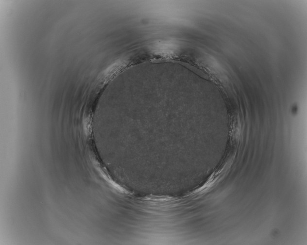 X0000091930285200709051508
