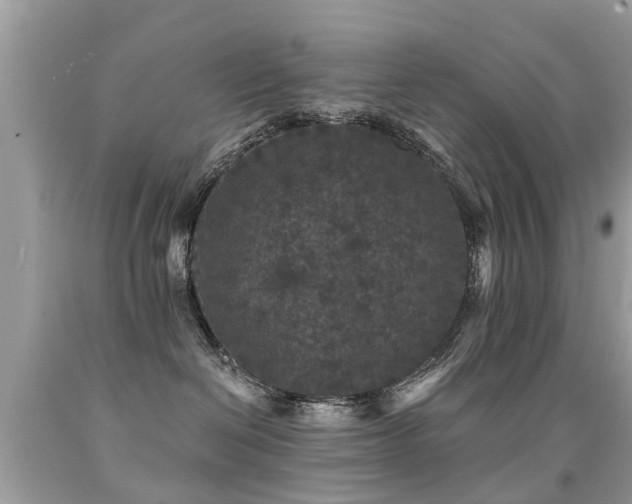 X0000091930286200709051508