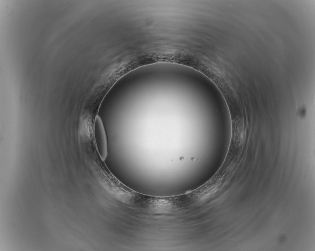 X0000091930287200709051508