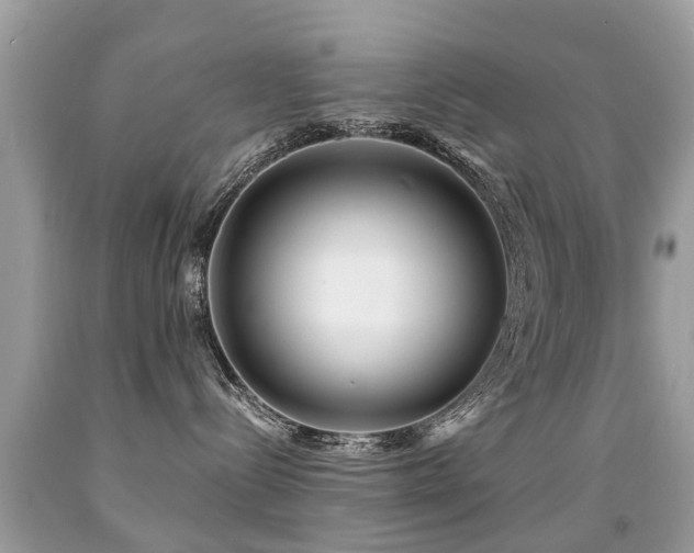 X0000091930288200709051508