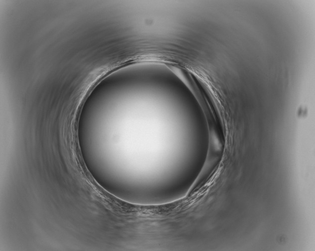 X0000091930289200709051507
