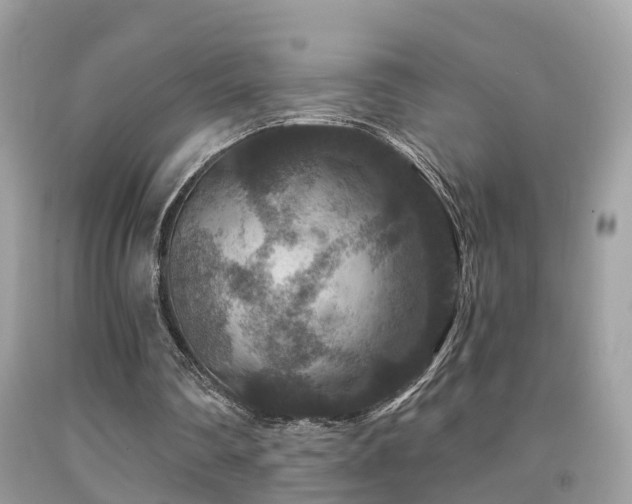 X0000091930290200709051507