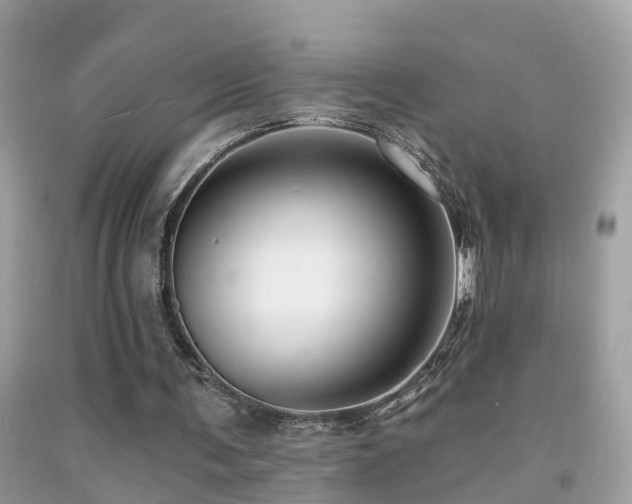 X0000091930291200709051507