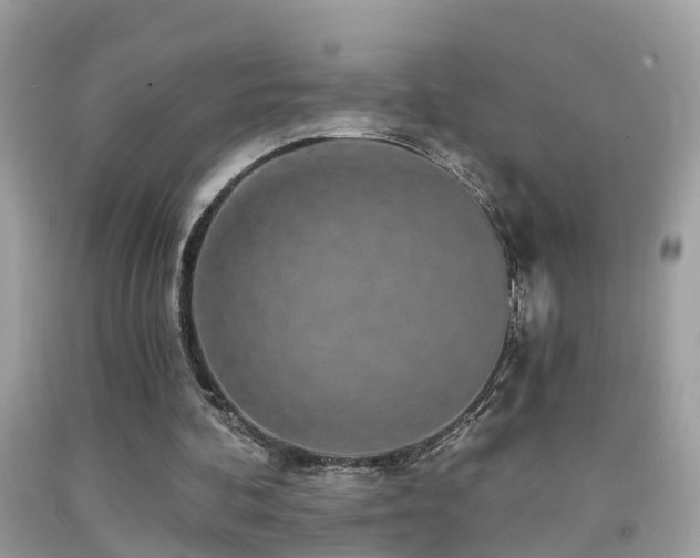 X0000091930292200709051507