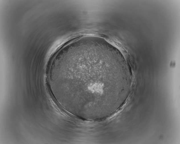 X0000091930293200709051507
