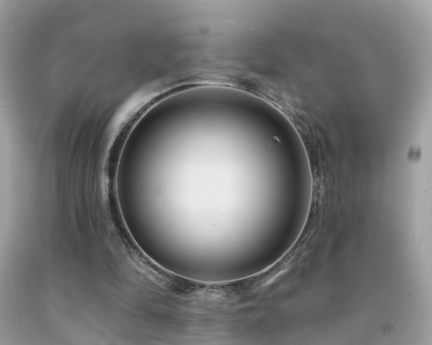 X0000091930294200709051507