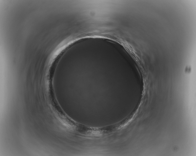 X0000091930295200709051507