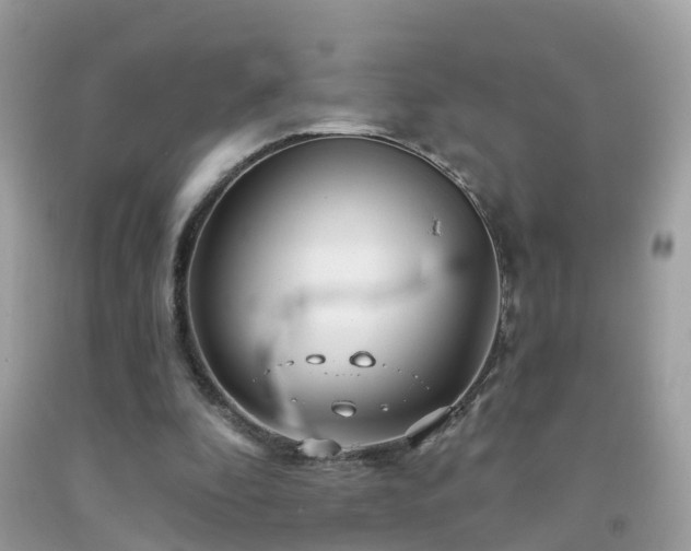 X0000091930296200709051507