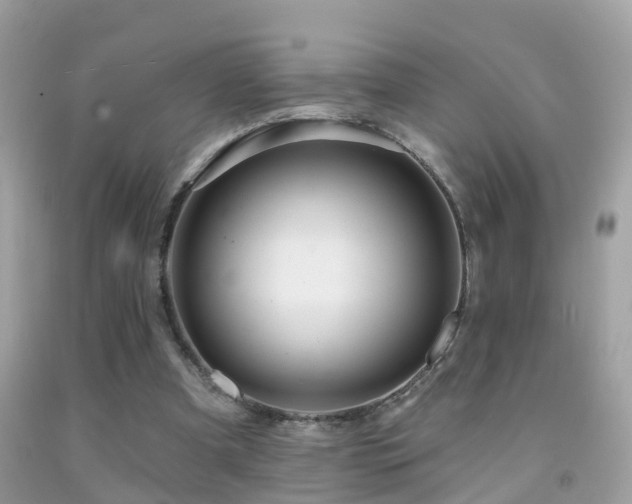 X0000091930297200709051507