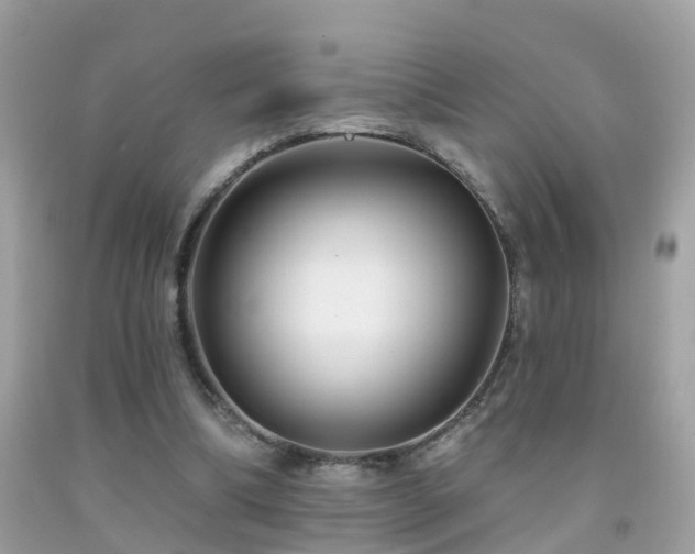 X0000091930298200709051507