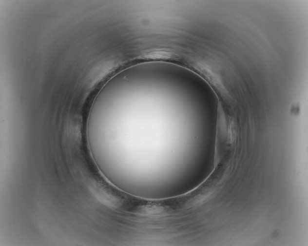 X0000091930300200709051507