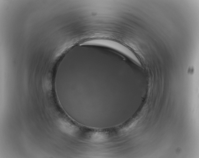 X0000091930303200709051507