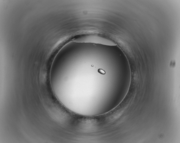 X0000091930304200709051507