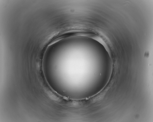 X0000091930305200709051507