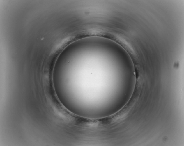X0000091930306200709051507