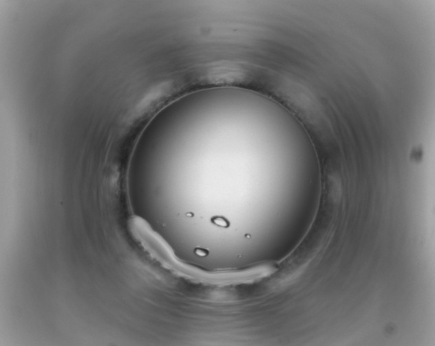 X0000091930308200709051507