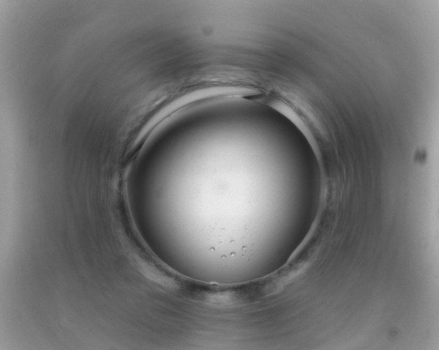 X0000091930309200709051507