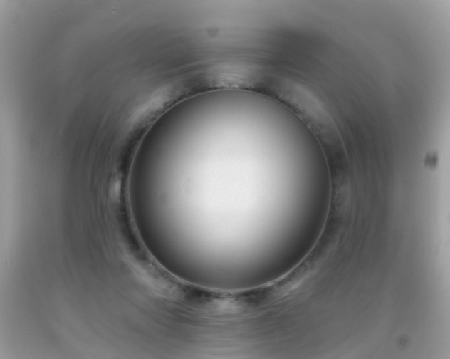 X0000091930310200709051507