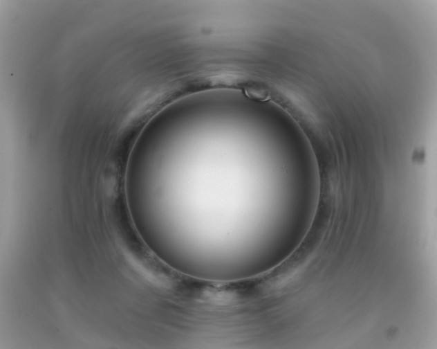 X0000091930311200709051507