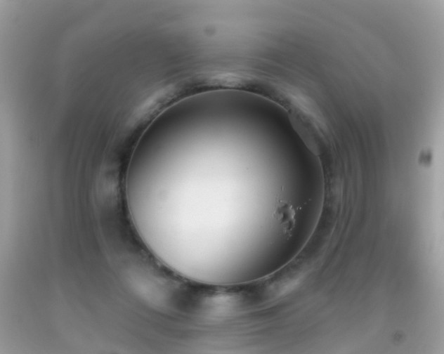 X0000091930312200709051507
