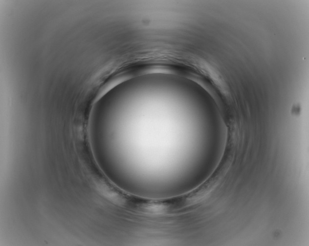 X0000091930313200709051507