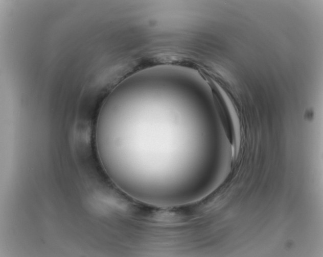 X0000091930315200709051507