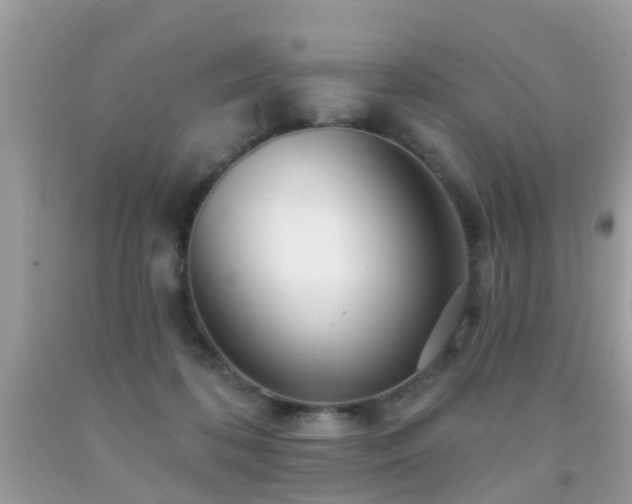 X0000091930316200709051507
