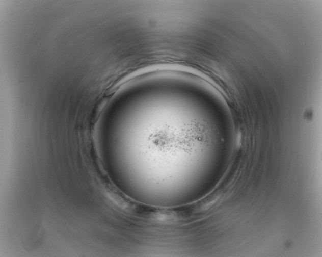X0000091930317200709051507