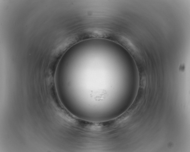 X0000091930318200709051507