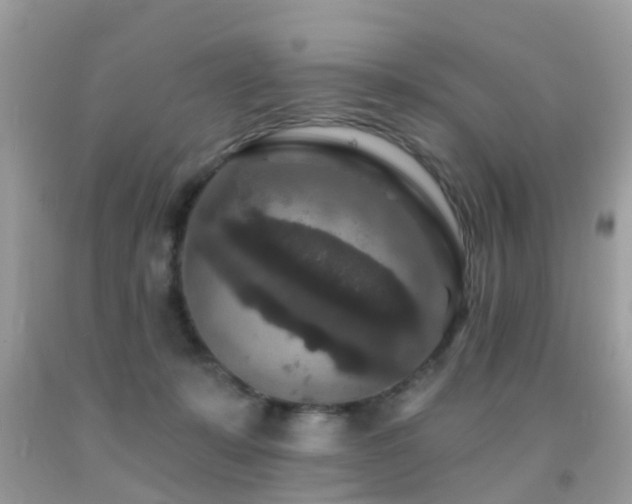 X0000091930319200709051507
